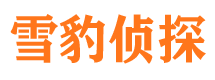 肥东找人公司